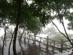 -大岭沟猕猴桃谷风景区