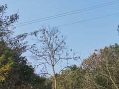 -白公馆