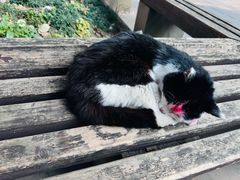 -平安桥天主教堂