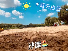 -大兴滨河森林公园