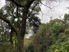 -广州市白云山风景名胜区