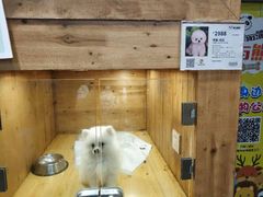-龟与熊猫宠物公园(南坪店)