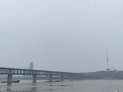 -武汉大学-樱园