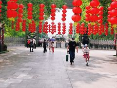 -溱湖国家湿地公园