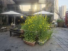 -瓦库茶馆17号(海汇港店)