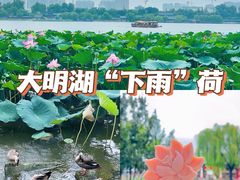 -济南大明湖景区