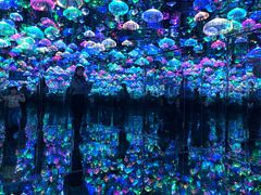 -天津梵高星空艺术馆(天河城旗舰店)