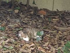 -新田360广场(上海华侨城店)