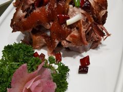 炭烧肘子-凯鸽酒楼(操场城店)