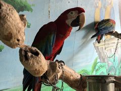 -石家庄市动物园