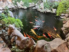 -鲤院·新中式美学·庭院餐厅(夫子庙店)