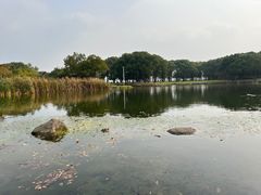 -蠡湖中央公园