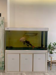 -FUMEIHUI·科技美肤·美体SPA