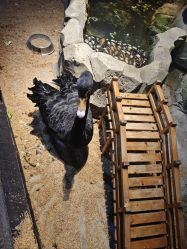 -酷嗒动物文化乐园(cutezoo西溪乐天城店)