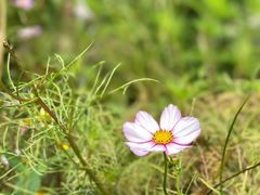 -云峰山自然风景区