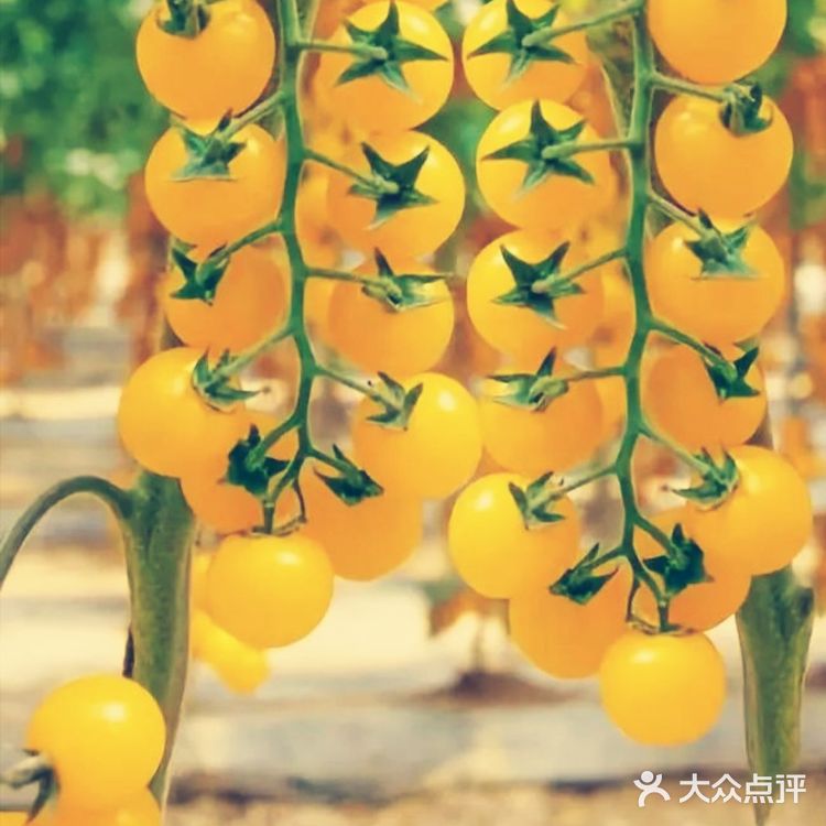 夏日溜娃亲近大自然的首选宝地