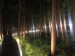 -上海怡沁园度假酒店
