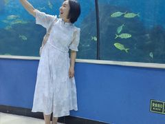 -苏州海洋馆
