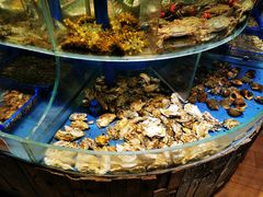 -小螺号海鲜·地道鲁菜(泉城广场店)
