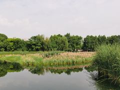 -金银湖国家城市湿地公园