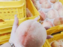 -老袁家蜜桃农场·阳山水蜜桃