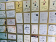 -博特宠物医院24h犬猫全科.骨科·异宠