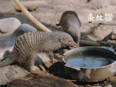 -北京动物园