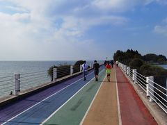 -贡湖湾湿地公园
