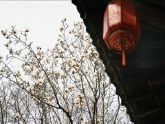 -迎泽公园