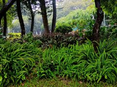 -人民公园(罗湖区)