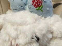 -上海静安香格里拉大酒店
