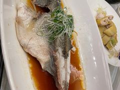 -锦江宾馆-花园餐厅