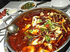 -蛙蛙鸡冷锅鱼(驷马桥店)