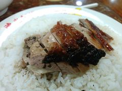 黑椒烧鸭饭-陈光记烧腊店(罗保博士街店)