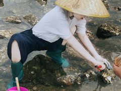 -小石岛景区