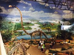 -自贡恐龙博物馆
