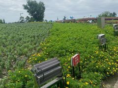 景点-天府芙蓉园