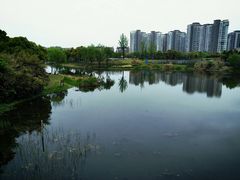 -SMP滑板公园