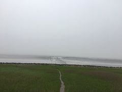 -南汇嘴观海公园