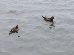 -西湖文化广场