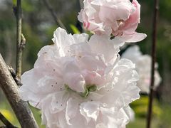 -福州大学(旗山校区)