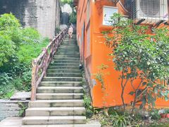 -南山植物园