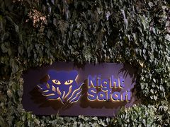 -夜间野生动物园