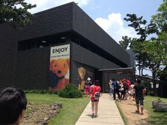 -济州岛泰迪熊博物馆