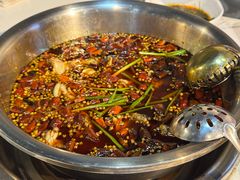 -品鱻黑豆花美蛙鱼(西政店)