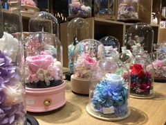 -G·SPACE(金鹰世界店)