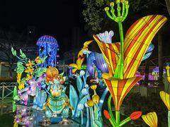 -海合安武汉极地海洋公园