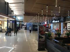 -蒙特利尔皮埃尔·埃利奥特·特鲁多国际机场