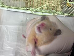 -双季花艺园艺市场(浦东店)