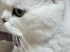 -康旭宠物医院(郑州总院)